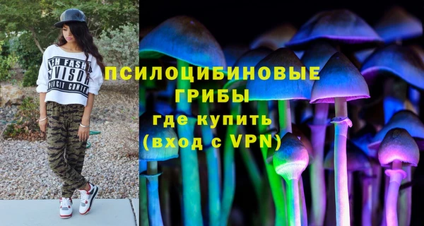 PSILOCYBIN Горнозаводск