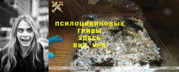 apvp Горно-Алтайск