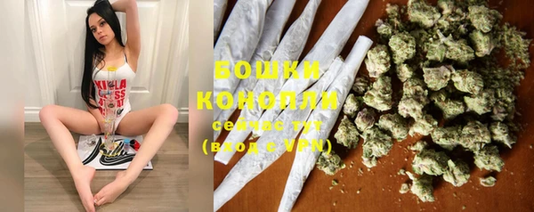 PSILOCYBIN Горнозаводск
