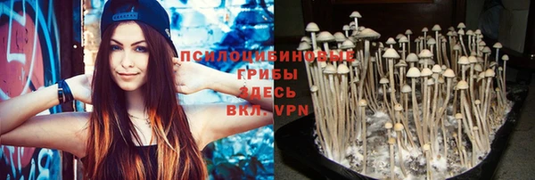 apvp Горно-Алтайск