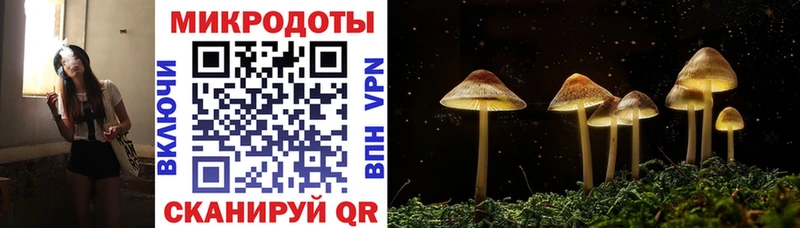 Купить где  Карабаш  Псилоцибиновые грибы Magic Shrooms 